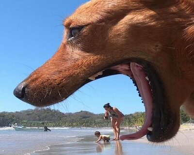 1_SNAP-perfect-timing-016JPGjpgd.jpg