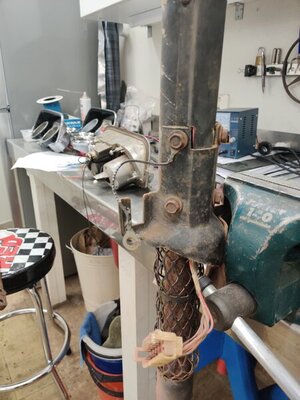 IMG_20201020_180334.jpg IMG_20201020_180334.jpg