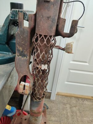 IMG_20201020_180347.jpg IMG_20201020_180347.jpg