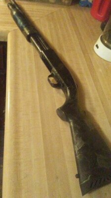 20201013_195629.jpg
