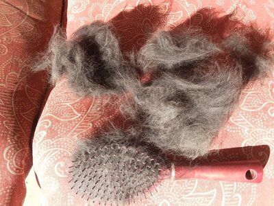 20201031_091044.jpg 20201031_091044.jpg