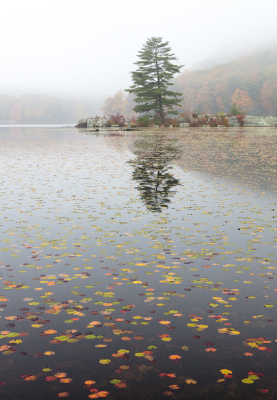 _28A0146-5-Edit-X3.jpg