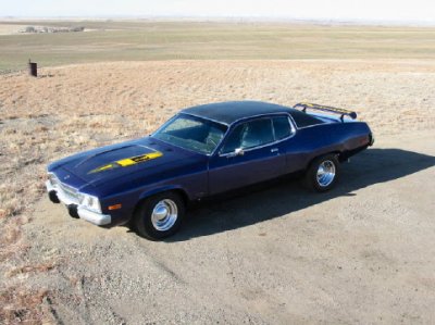 COMP PIC LEFT PROFILE.jpg