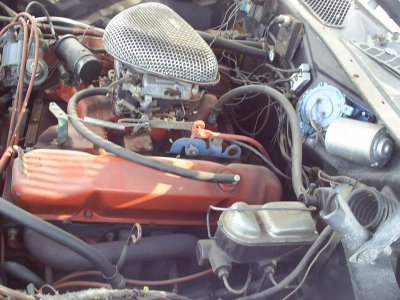 S3000028.jpg