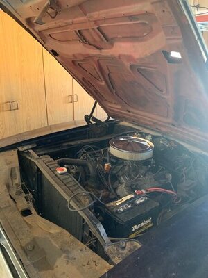 IMG_2077.jpg IMG_2077.jpg