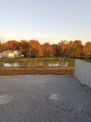 20201105_163626.jpg