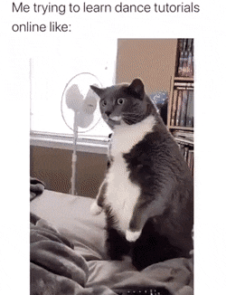 c7ce234549eb2bd84672fd91f4a09fda.gif