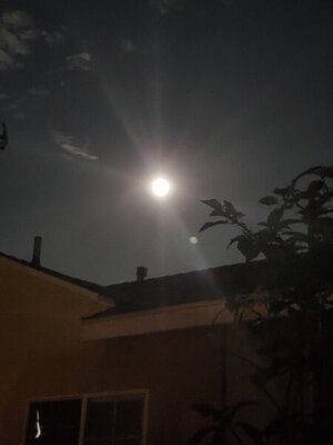 20201101_195622.jpg