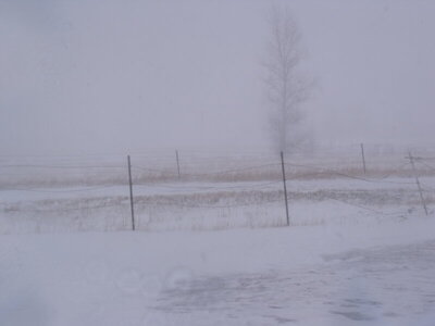 winter 2020 007.JPG