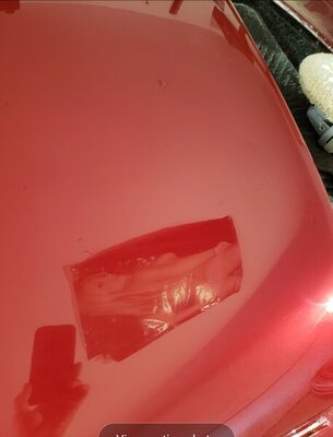 Screenshot_20201108-152217_Gallery.jpg Screenshot_20201108-152217_Gallery.jpg