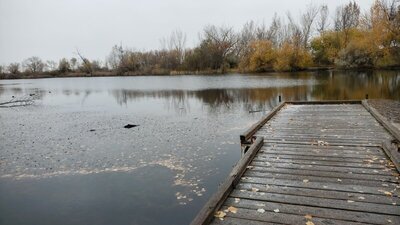 IMG-20201108-WA0001.jpeg