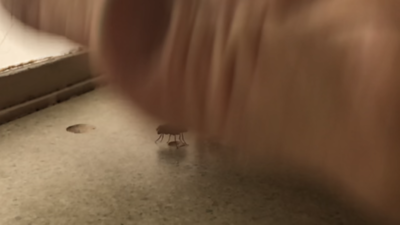 ADE3DC08-5250-42C1-81B9-657C354DFAF3.png