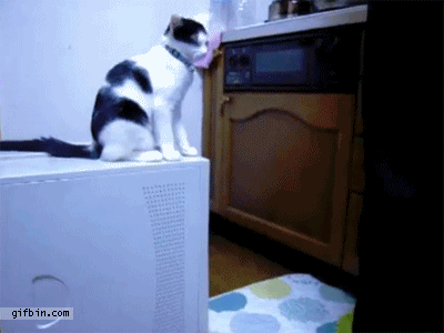 a767c8ecacdf3cd69b50ca03041b2fd3.gif