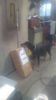 20201028_170119.jpg