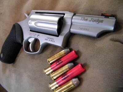 Taurus judge.jpg
