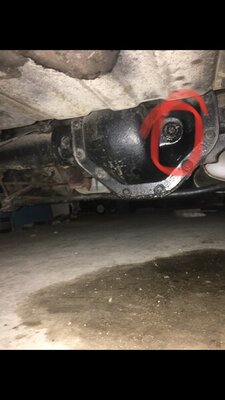 View recent photos.jpg