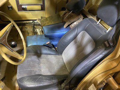 A080377D-CF30-4367-B25C-518BA1FE0B68.jpeg A080377D-CF30-4367-B25C-518BA1FE0B68.jpeg