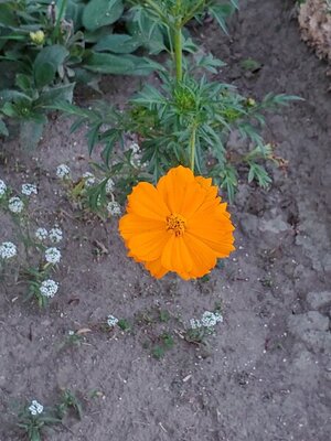 20201113_165219.jpg