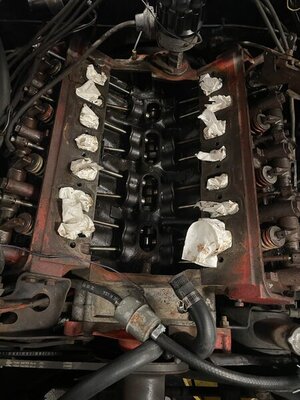 7D84B2C5-DB5F-4BF2-973C-B30BF827EFBA.jpeg 7D84B2C5-DB5F-4BF2-973C-B30BF827EFBA.jpeg