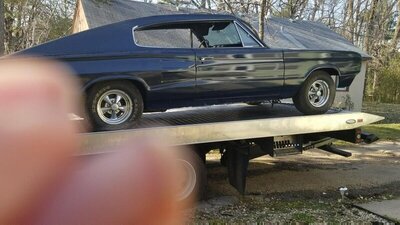 8D5526E4-1134-431A-B35D-5FF84C8DFF09.jpeg 8D5526E4-1134-431A-B35D-5FF84C8DFF09.jpeg