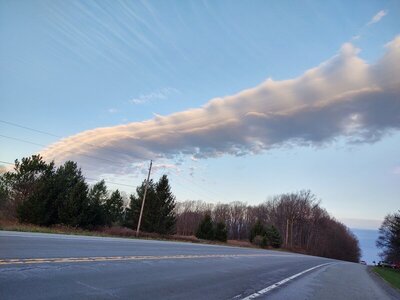 IMG_20201120_073601027_HDR.jpg
