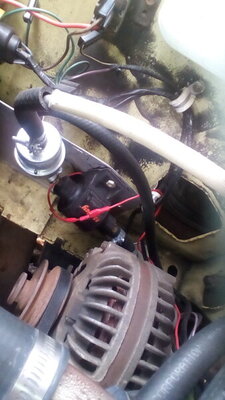 IMG_20201120_114015.jpg IMG_20201120_114015.jpg