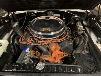 FC6E35A3-5F9A-4D58-BD02-99D9F94DD01E.jpeg FC6E35A3-5F9A-4D58-BD02-99D9F94DD01E.jpeg