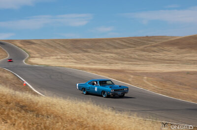 IMG_6515.jpg IMG_6515.jpg