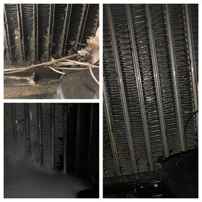 1B0254F6-B119-463D-B952-24947E1801D5.jpeg 1B0254F6-B119-463D-B952-24947E1801D5.jpeg