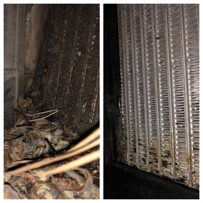 BE3CD1C7-5E5C-4542-ADA1-4F65DFA5FA64.jpeg BE3CD1C7-5E5C-4542-ADA1-4F65DFA5FA64.jpeg