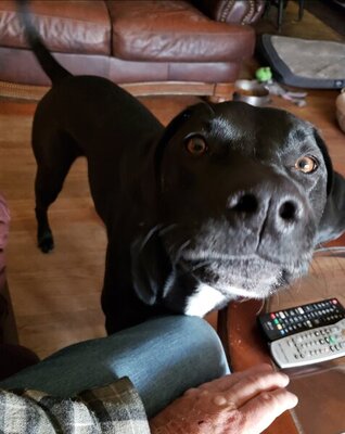 Screenshot_20201125-083013_Gallery.jpg Screenshot_20201125-083013_Gallery.jpg