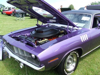 DSCF0429.jpg