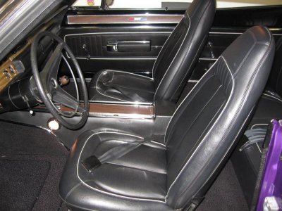 IMG_3026 (Large).jpg