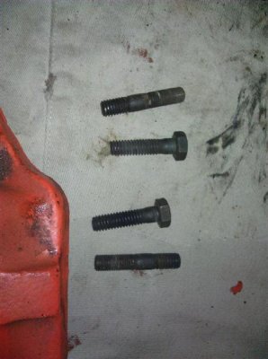 IMG_20130706_170748 (Large) (Medium).jpg