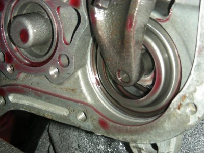 DSCN8162.jpg DSCN8162.jpg