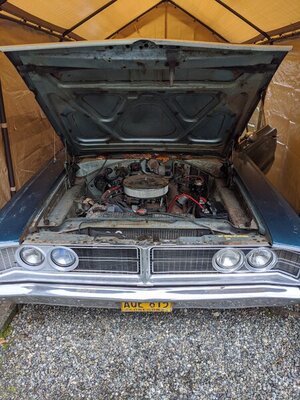 IMG_20201126_115214.jpg IMG_20201126_115214.jpg