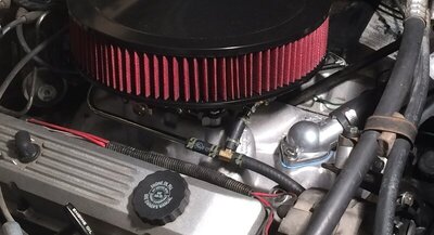 IMG_1655s.jpg IMG_1655s.jpg