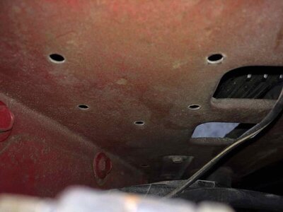 IMG_4016.jpeg IMG_4016.jpeg