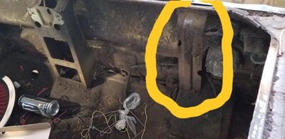 Trunk brace 2.jpg Trunk brace 2.jpg