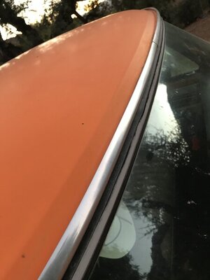 E7B79693-883D-4834-AD98-31E8A3D0F56F.jpeg E7B79693-883D-4834-AD98-31E8A3D0F56F.jpeg