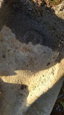 20201124_152208.jpg