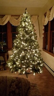 20201205_171244.jpg 20201205_171244.jpg