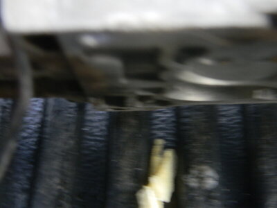 DSCN0118.JPG