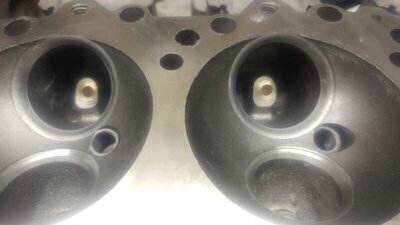 20200305_173018_resized.jpg 20200305_173018_resized.jpg