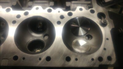 20200305_172949_resized.jpg 20200305_172949_resized.jpg