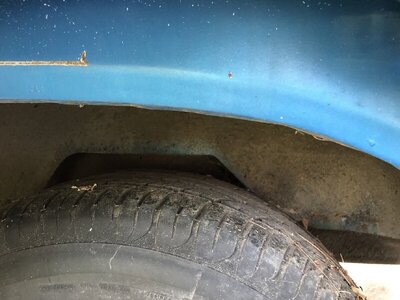 IMG_3303.JPG IMG_3303.JPG