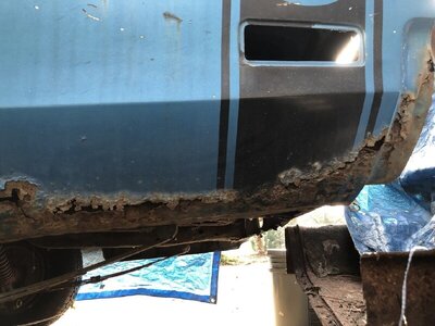 IMG_3294.JPG IMG_3294.JPG