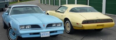 Pontiac birds.jpg
