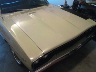 hood rr7.jpg hood rr7.jpg