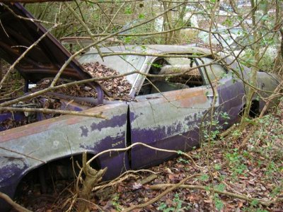 purple duster (Small).JPG